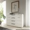 Loddenkemper commode - 1